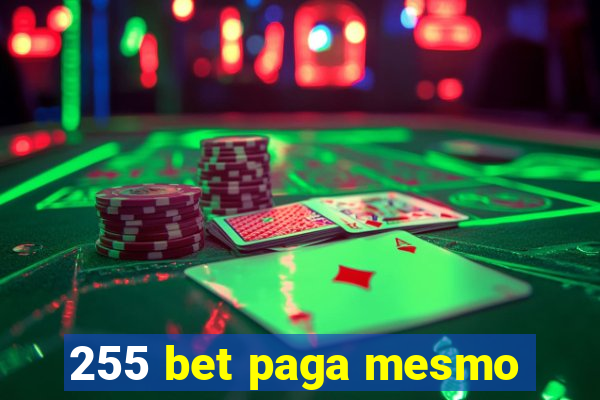 255 bet paga mesmo